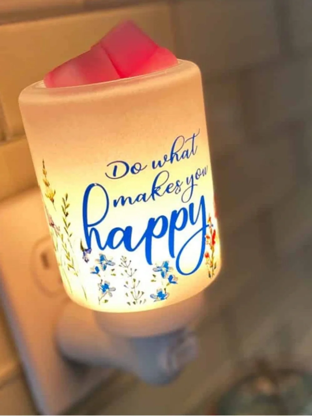 Scentsy plug mini